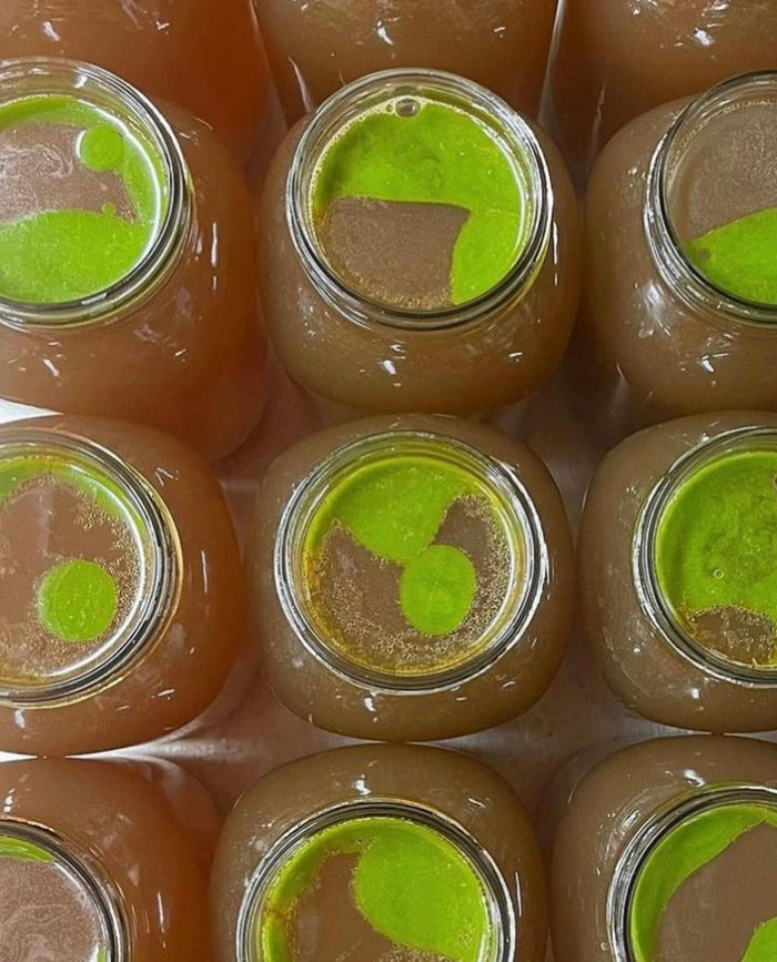 12 pack bone broth subscribe and save