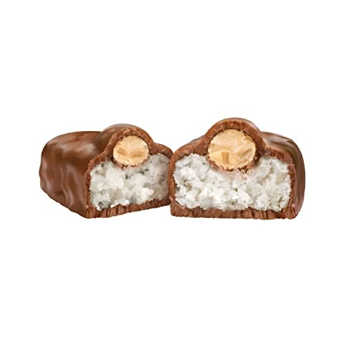 ALMOND JOY Coconut and Almond Chocolate Candy Bars, 1.61 Oz (24 Count) - My Store wholesale supplier A1 main