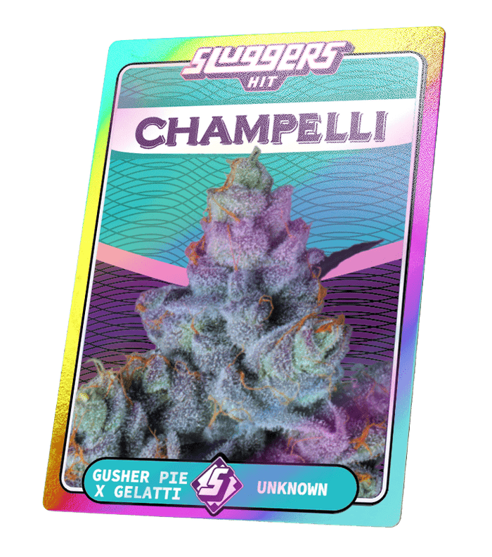Champelli Cassis - Juiced Pack - Sluggers