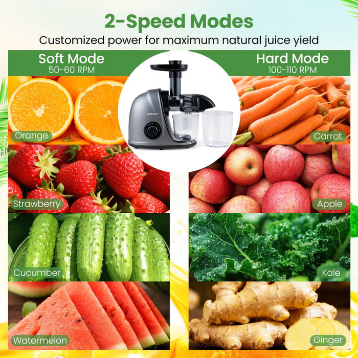 Cold Press Juicer Machine