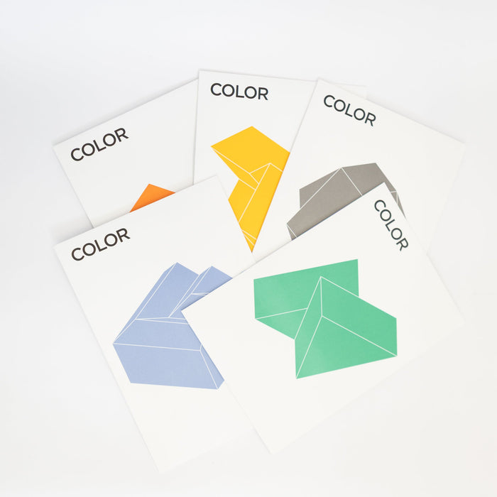 COLOR - 3D Paper Craft | Tortoise General Store