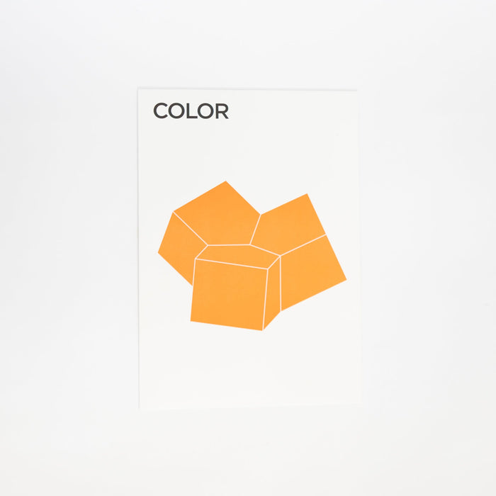 COLOR - 3D Paper Craft | Tortoise General Store