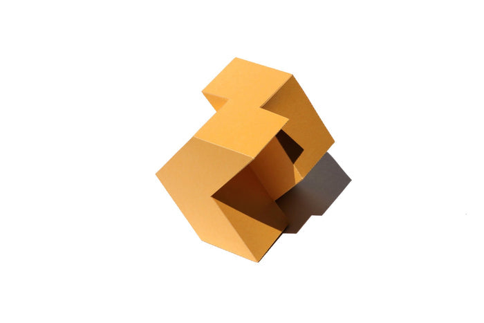 COLOR - 3D Paper Craft | Tortoise General Store