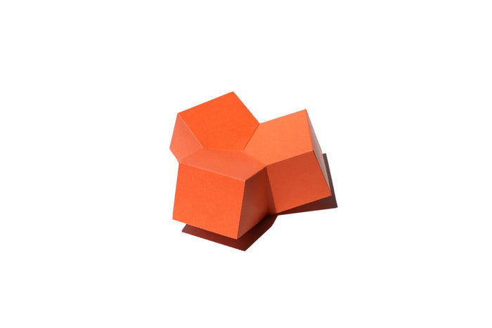COLOR - 3D Paper Craft | Tortoise General Store