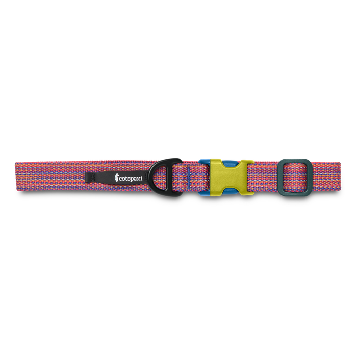 Del Día Dog Collar, Del Día, Detail
