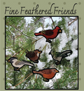 Fine Feathered Friends Pattern