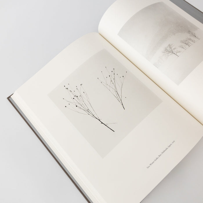 Japan: A Love Story by Michael Kenna | Tortoise General Store