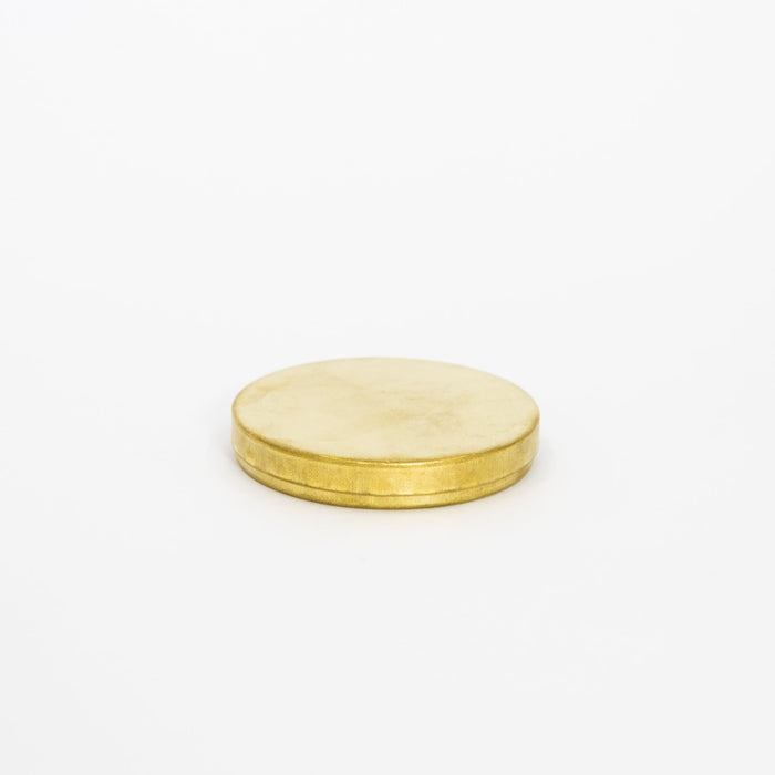Picus Brass Round Case | Tortoise General Store