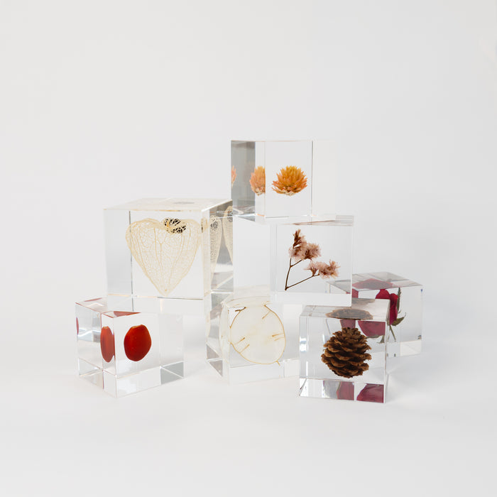 Sola Cubes - Seeds & Plants
