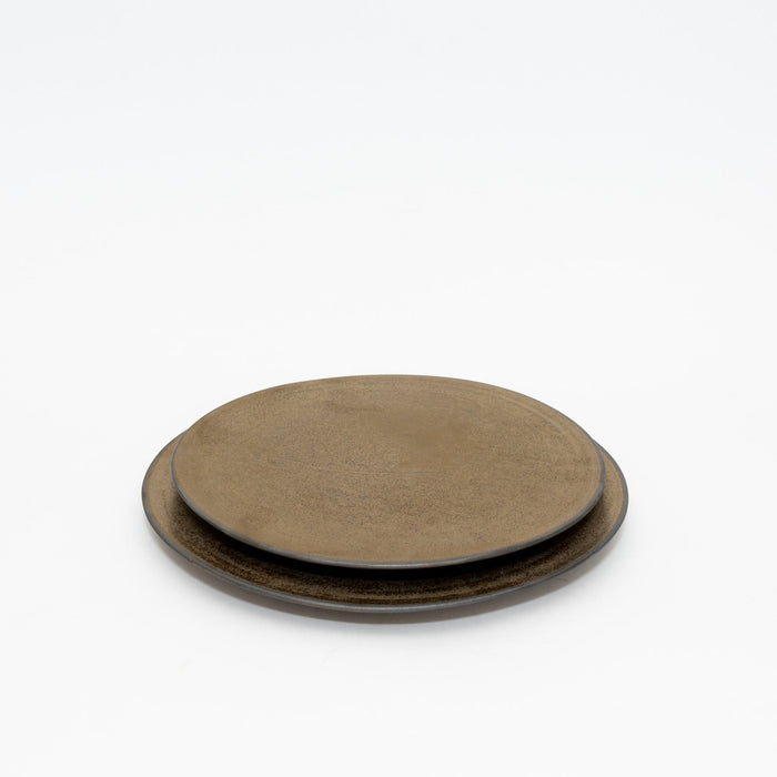SSAN Gold Flat Plate | Tortoise General Store