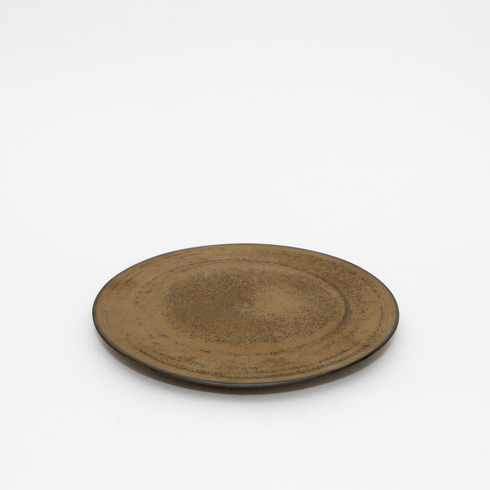 SSAN Gold Flat Plate | Tortoise General Store