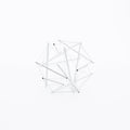 Tensegrity - 12 struts model | Tortoise General Store