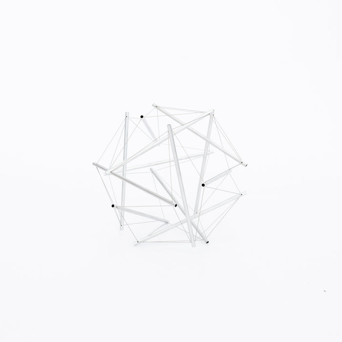 Tensegrity - 12 struts model | Tortoise General Store
