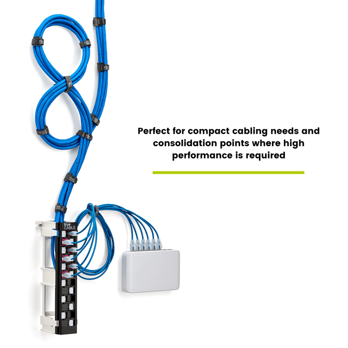 Unshielded 12 Port Wall Mount Patch Panel Installed for High Performance